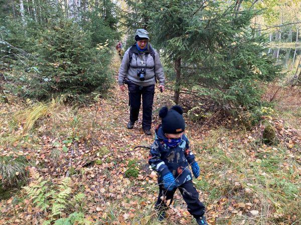 Sukellus hiiden myyttiseen metsään – luonnon pyhät paikat esille  nykyihmisellekin - Msl