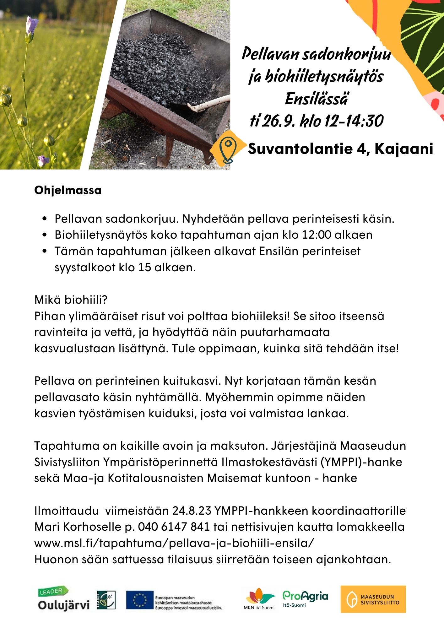 Pellavan sadonkorjuu nyhtämällä sekä biohiilen valmistuksen työpaja Ensilän palstaviljelyalueella Kajaanissa tiistaina 26.9. klo 12-15